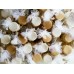 Bomboniera Prima comunione - decorazione albero della vita legno (grande) vasetto miele da 125 o 250 grammi